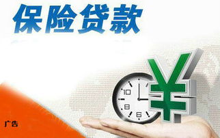 陕西兴海普惠信息咨询服务有限旬阳分公司 专业信息咨询服务的可靠选择