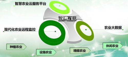 论软件企业如何转型智慧农业信息咨询服务